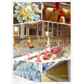 ISO9001 quality assured birdisitter chicken farming equipment